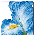 Carrelage - Décoration - Flore - Iris - Motif - Design - Faïence de Provence