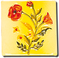 Carrelage - Décoration - Coquelicot - Motif - Design - Faïence de Provence à Salernes