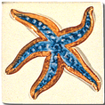 Carrelage - Décoration - Décor 11x11 CoquillageA -Motif - Design - Faïence de Provence à Salernes