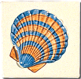 Carrelage - Décoration - Décor 11x11 Coquillage E - Motif - Design - Faïence de Provence à Salernes